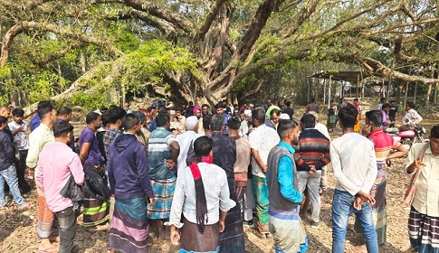 পুকুরে মাছ মারা নিয়ে সংঘর্ষ, আওয়ামী লীগ নেতার বাড়িঘরে হামলা, ভাঙচুর গরু-ছাগল লুট