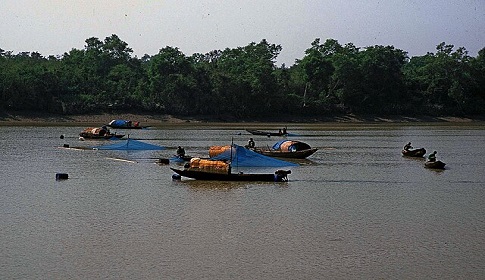 সুন্দরবনে ৯ দিনেও উদ্ধার হয়নি অপহৃত ১৫ জেলে