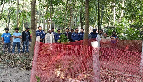 মায়ের বাধায় আটকে গেলো শহীদ আরাফাতের মরদেহ উত্তোলন 