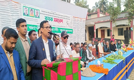 মহম্মদপুরে কৃষক সমাবেশ অনুষ্ঠিত