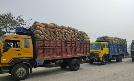 নেপালে ৩৩৬ টন আলু রপ্তানি