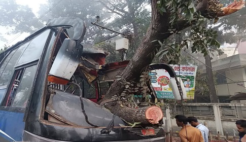 সাতক্ষীরায় বাস নিয়ন্ত্রণ হারিয়ে গাছের সঙ্গে ধাক্কা, হেলপারসহ আহত ১৩ 