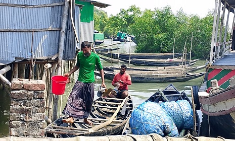 দুই মাস বন্ধ থাকার পর সুন্দরবনে কাঁকড়া ধরা শুরু