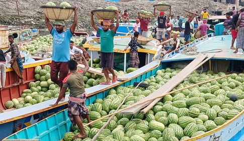 মৌসুমী ফল তরমুজে বাজার সয়লাব, কমেনি দাম