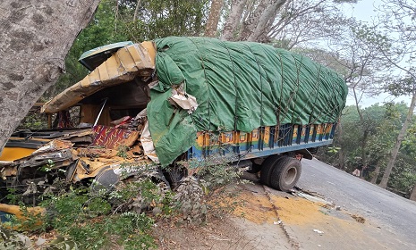 ফরিদপুরে পৃথক দুটি সড়ক দুর্ঘটনায় নিহত ২