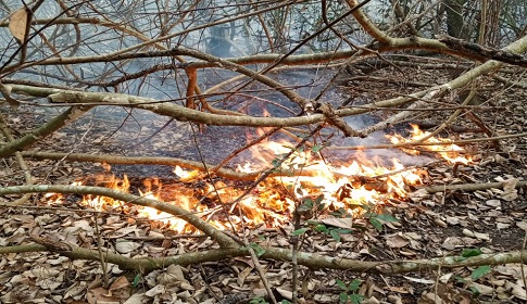 সুন্দরবনে আবারও আগুন, দাউ দাউ করে জ্বলছে বনভূমি