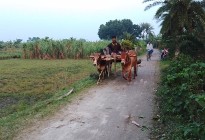 ‘অমঙ্গল’ আতঙ্কে মানুষশূন্য মঙ্গলপুর