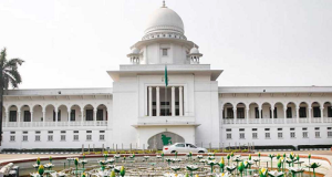 আ.লীগ-জাপাসহ ১১ দলের রাজনৈতিক কার্যক্রমে নিষিদ্ধ চেয়ে রিট